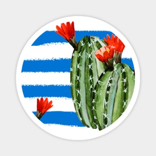 Cactus texture Magnet